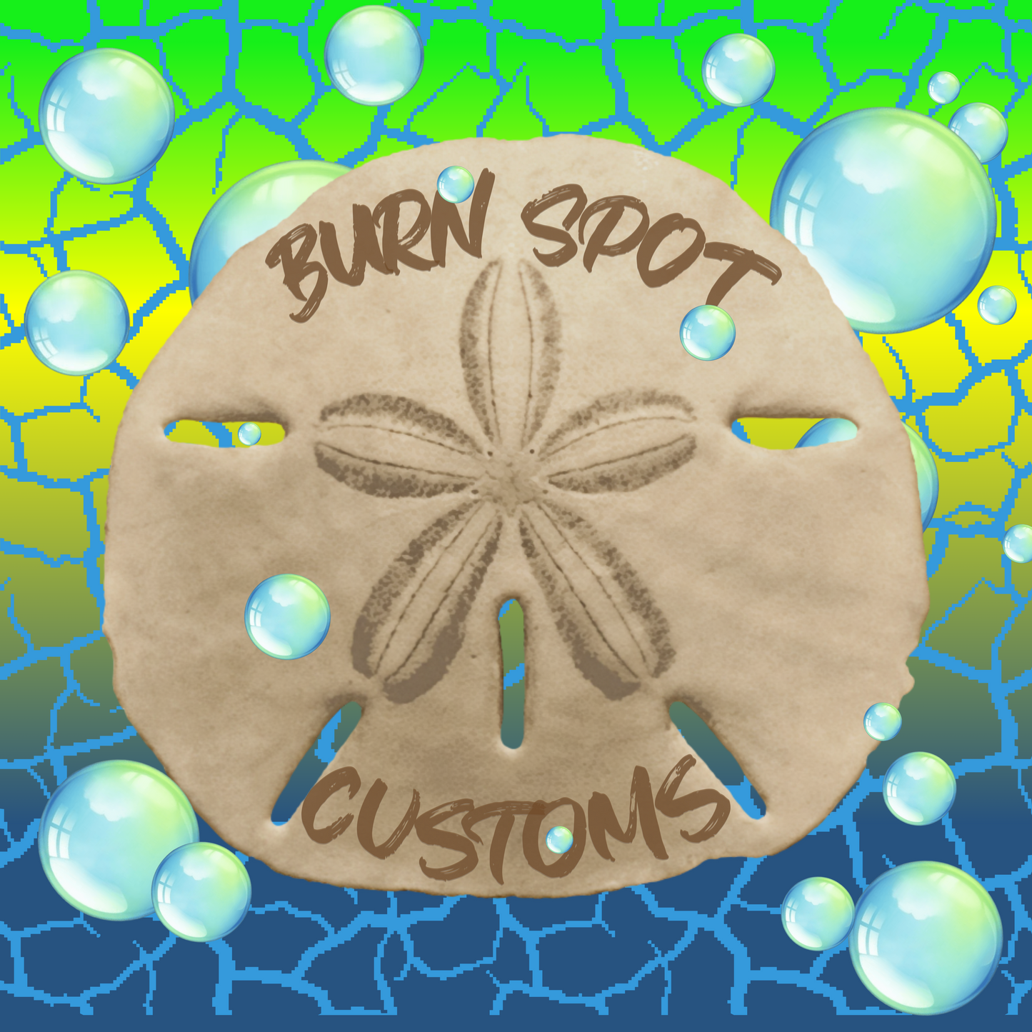 Sand Dollar Square Sticker